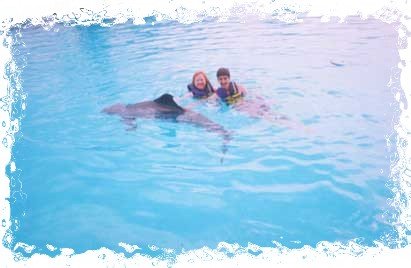 Swimming with the dolphins